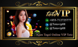 Agen Togel Online VIP Toto