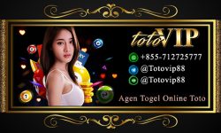 Agen Togel Online Toto